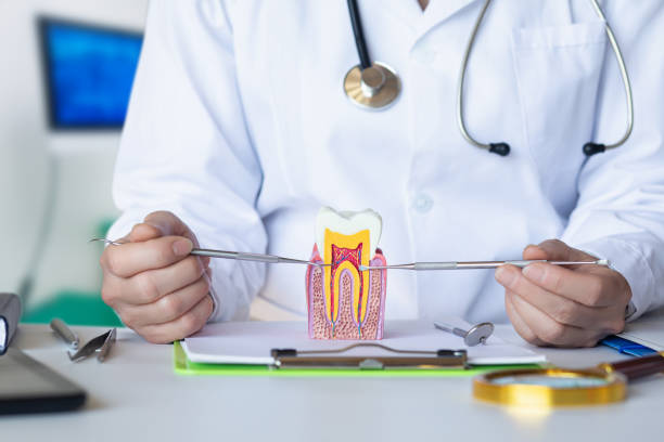 Best Emergency Dentist for Special Needs Patients in Jackson, SC